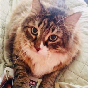 Meet your Posher, Naradel